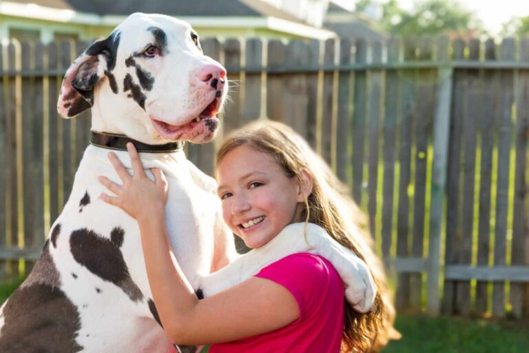 10 Most Affectionate Dog Breeds For Deep Connections