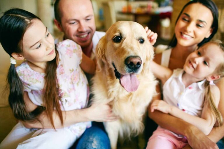 13 Inspiring Stories Of Dogs Bringing Families Closer
Together