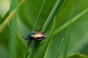 9 Apocalypse-Ready Animals Built To Survive Anything