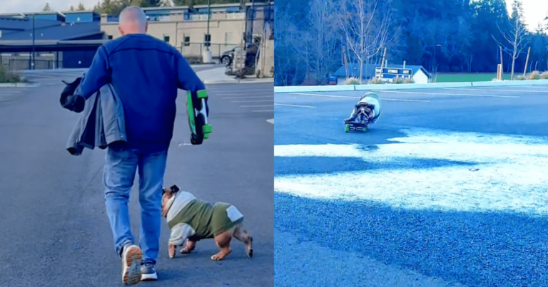Meet the Skateboarding Bulldog Who’s Winning Hearts
Online