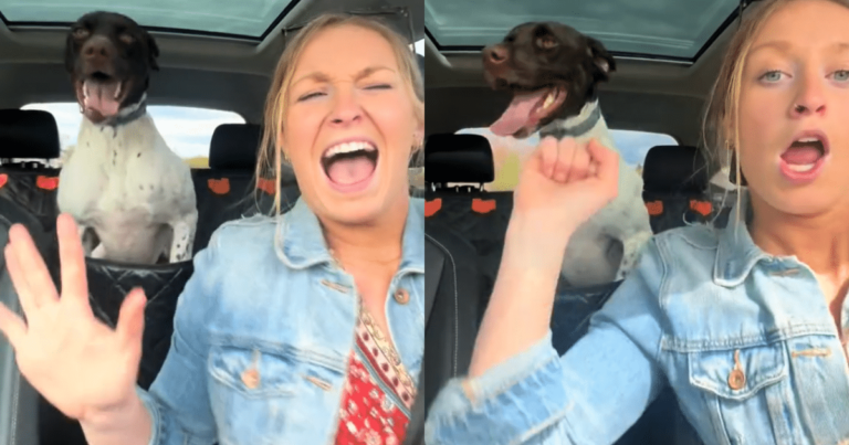Pup Gets Totally Hyped When Mom Cranks Up the Music in the
Car