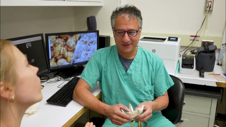 Riney Canine Health Center Funded Research: Oral Squamous
Cell Carcinoma