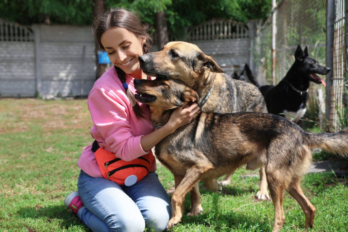 Top 13 Ways Dogs Teach Us To Be Kinder And More
Patient