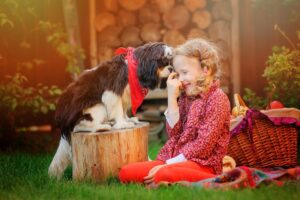 Ultimate 7 Dog Breeds That Shine Bright In Any
Family